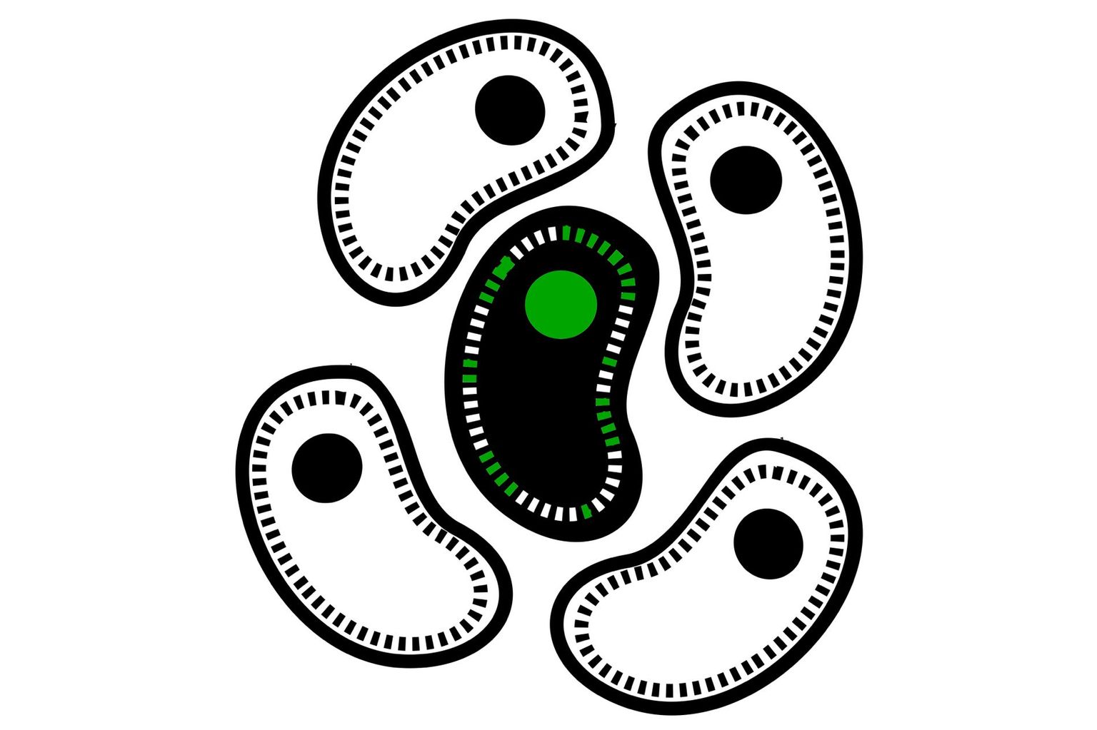 Icon_noun_Melanom Icon_noun_Melanom