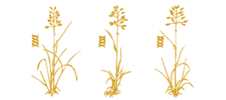 Genetische Vielfalt Genetische Vielfalt