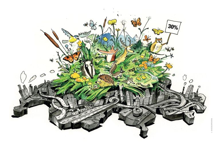 SWIFCOB 22 SWIFCOB 22