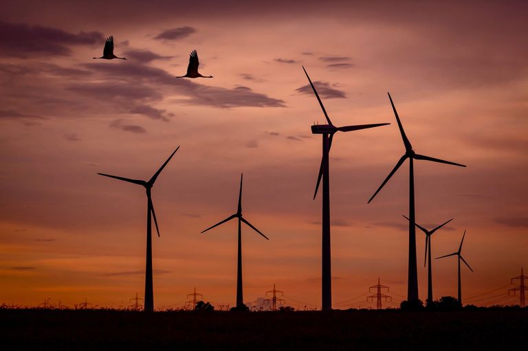 Wind energy Wind energy