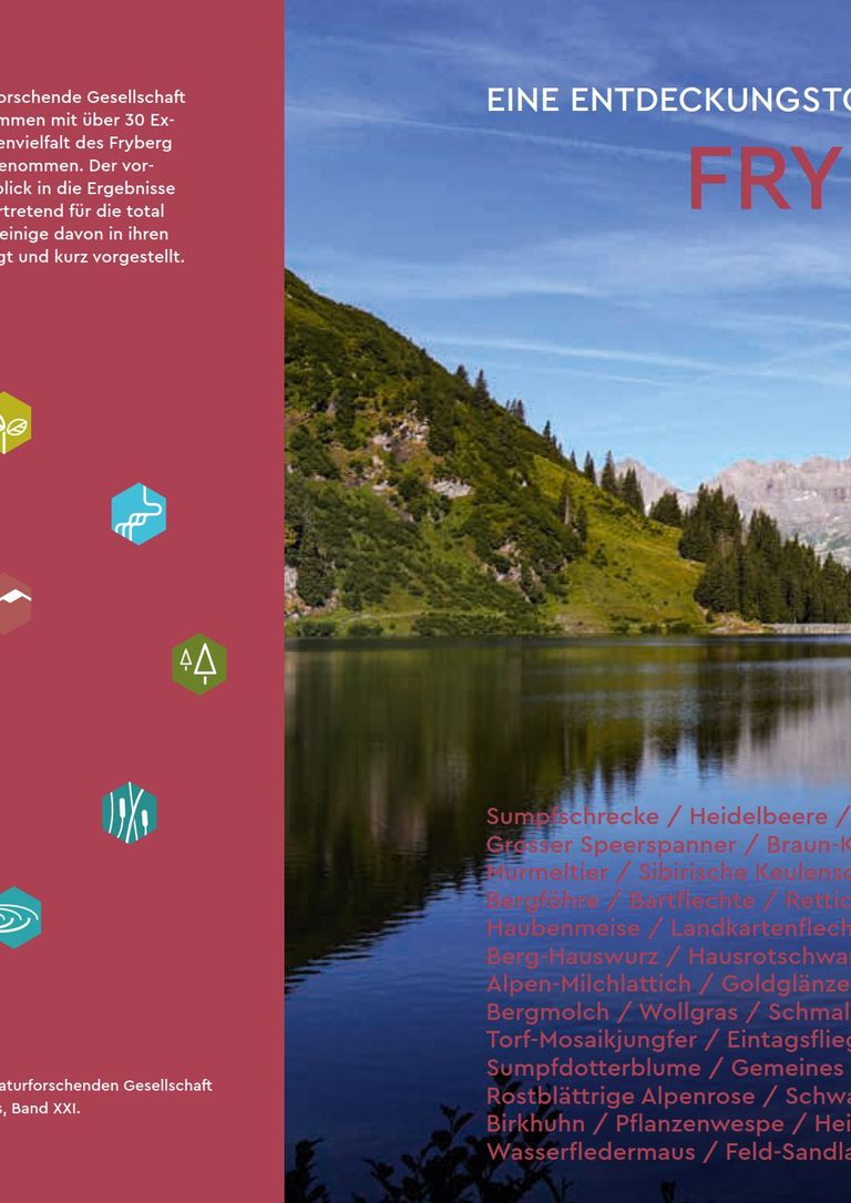Umschlag "Eine Entdeckungstour im Fryberg" Umschlag "Eine Entdeckungstour im Fryberg"