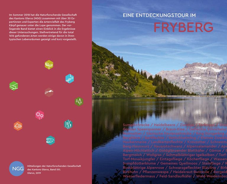 Umschlag "Eine Entdeckungstour im Fryberg" Umschlag "Eine Entdeckungstour im Fryberg"