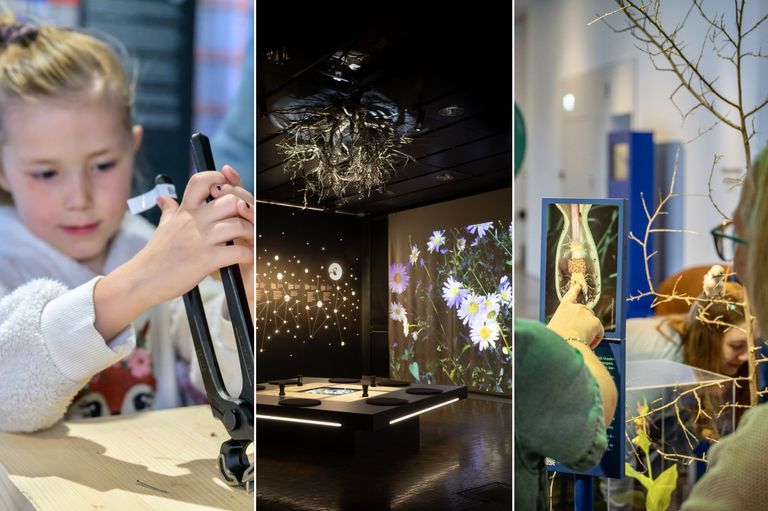 Shortlist 2025 Shortlist 2025