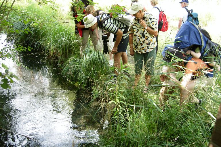 Eine Exkursionsgruppe untersucht einen Bach Eine Exkursionsgruppe untersucht einen Bach