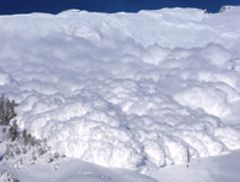 Webseite des SLF: Lawinen Webseite des SLF: Lawinen