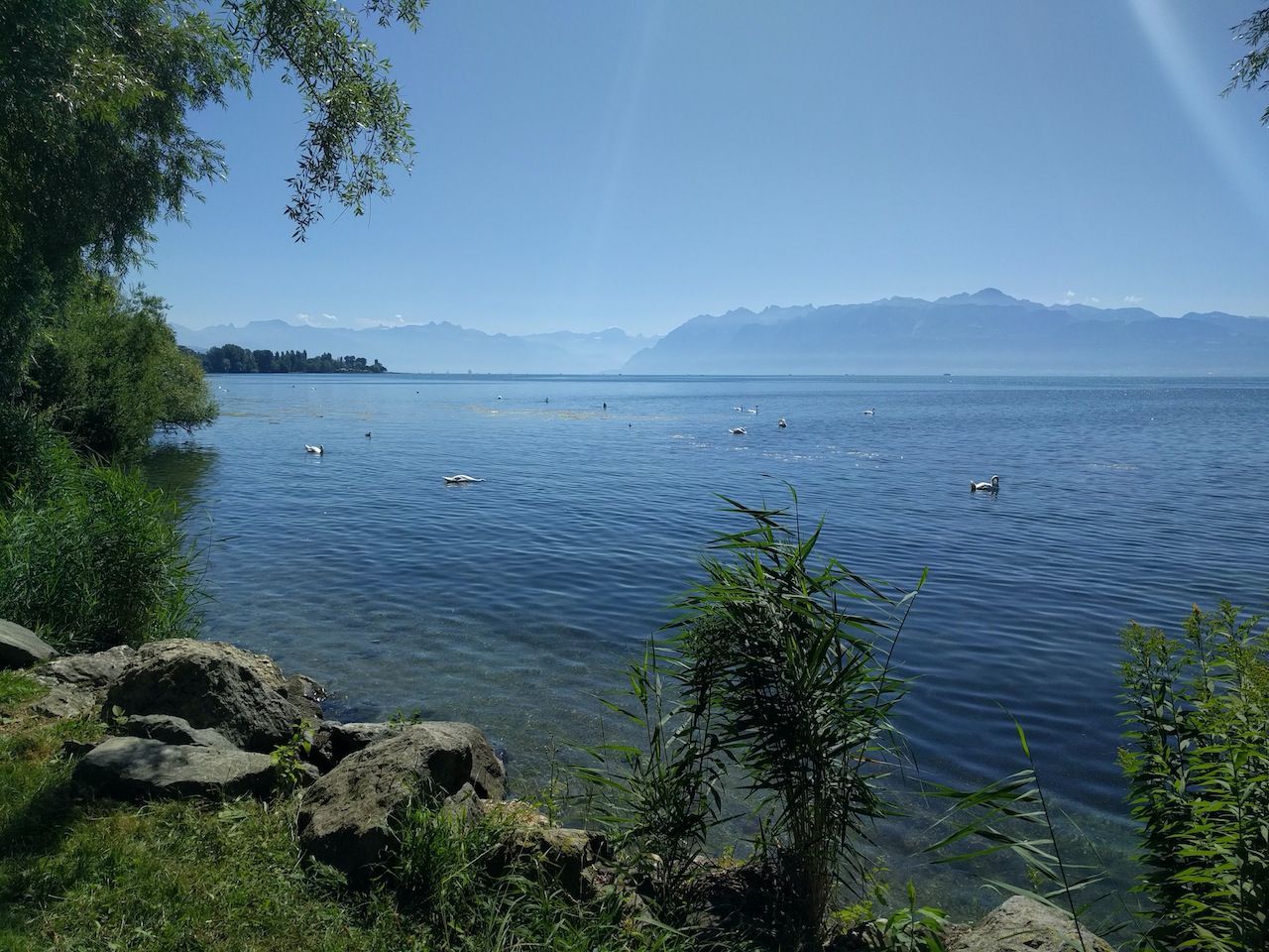 Summer School 2016 Summer School 2016