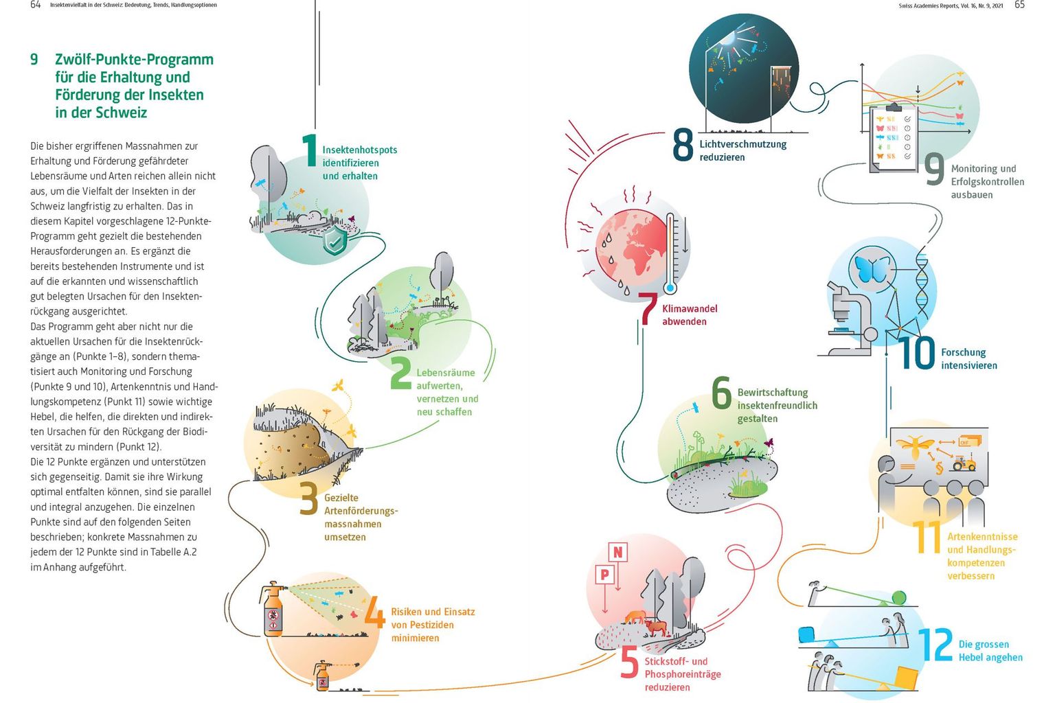 12-Punkte-Programm Insekten 12-Punkte-Programm Insekten