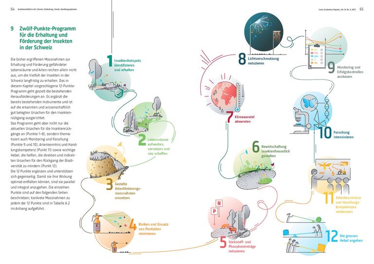 12-Punkte-Programm Insekten 12-Punkte-Programm Insekten
