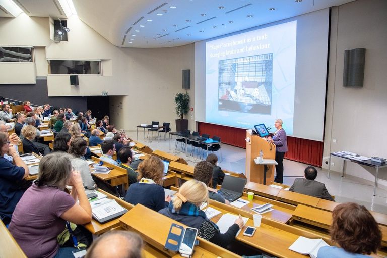 SGV Meeting Lausanne SGV Meeting Lausanne