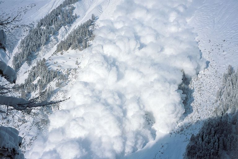Erforschung der Lawinendynamik im Vallée de la Sionne, VS Erforschung der Lawinendynamik im Vallée de la Sionne, VS