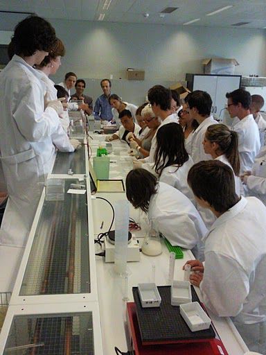 Summer School 2010 Labor (Plattform Biologie) Summer School 2010 Labor (Plattform Biologie)