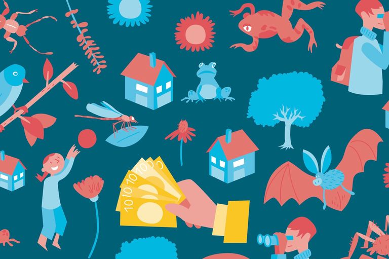 Swifcob 2020 Swifcob 2020