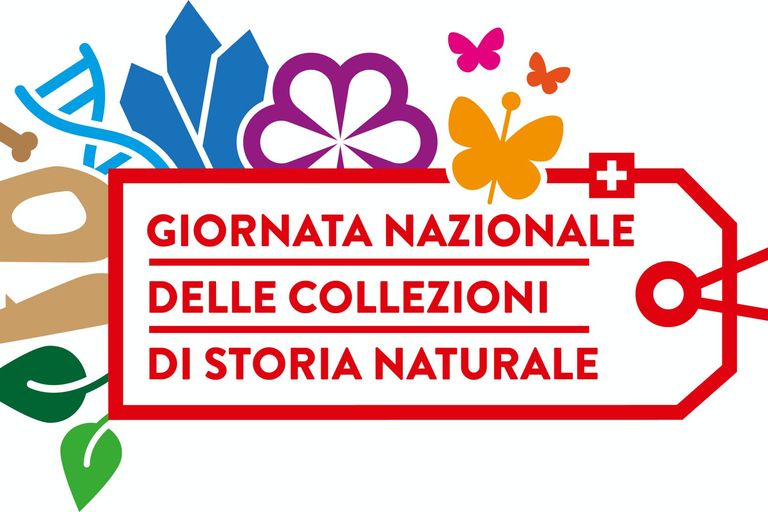 Giornata nazionale delle collezioni di storia naturale Giornata nazionale delle collezioni di storia naturale