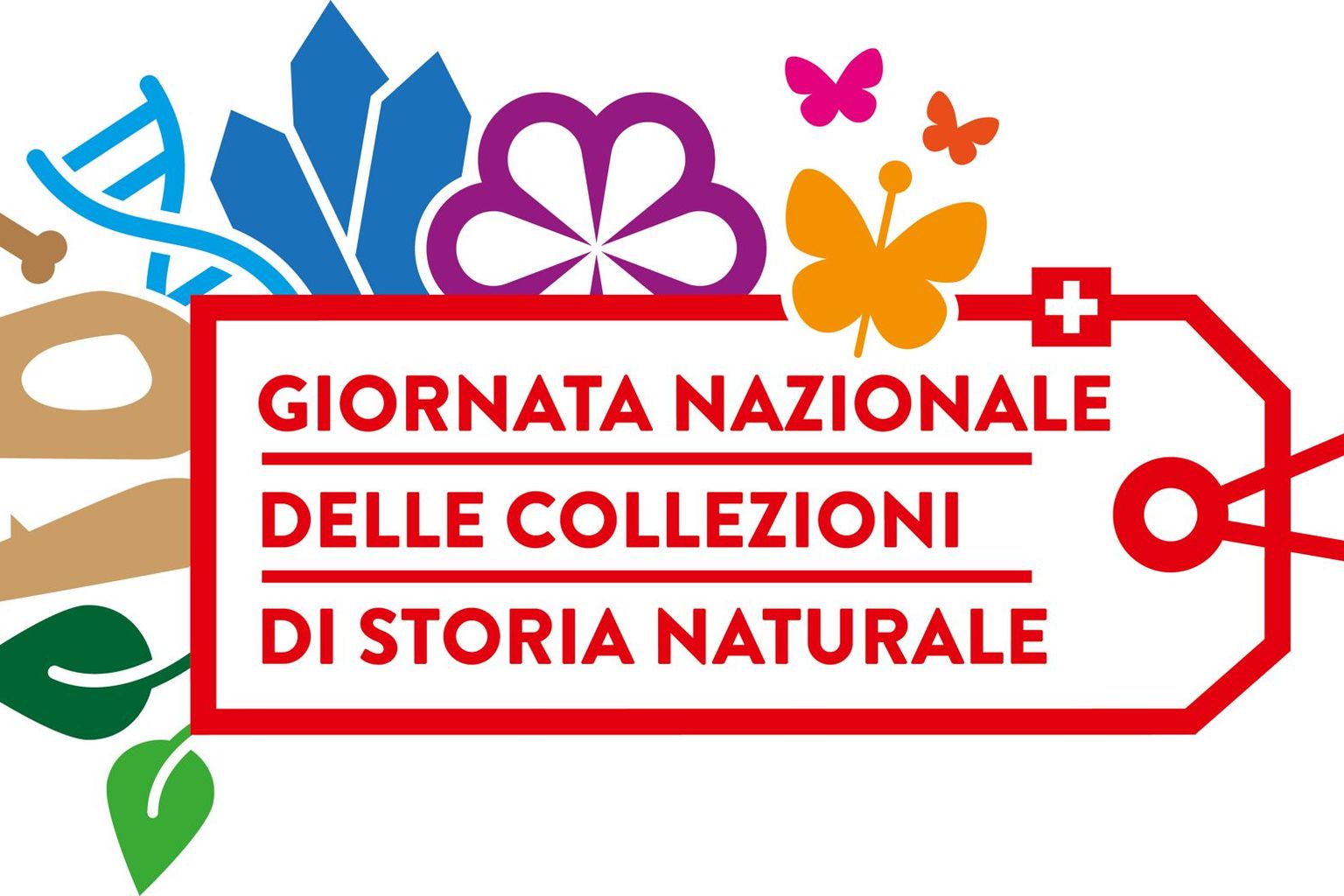 Giornata nazionale delle collezioni di storia naturale Giornata nazionale delle collezioni di storia naturale