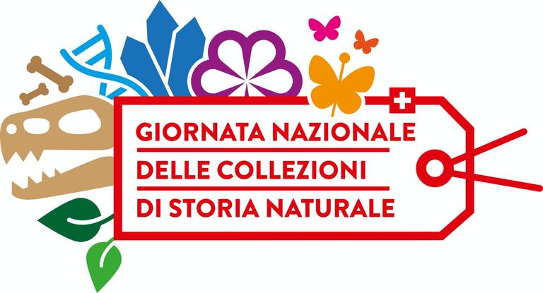 Giornata nazionale delle collezioni di storia naturale Giornata nazionale delle collezioni di storia naturale