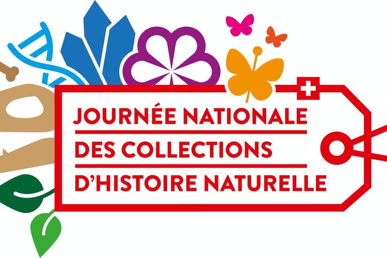 Journée nationale des collections d'histoire naturelle Journée nationale des collections d'histoire naturelle