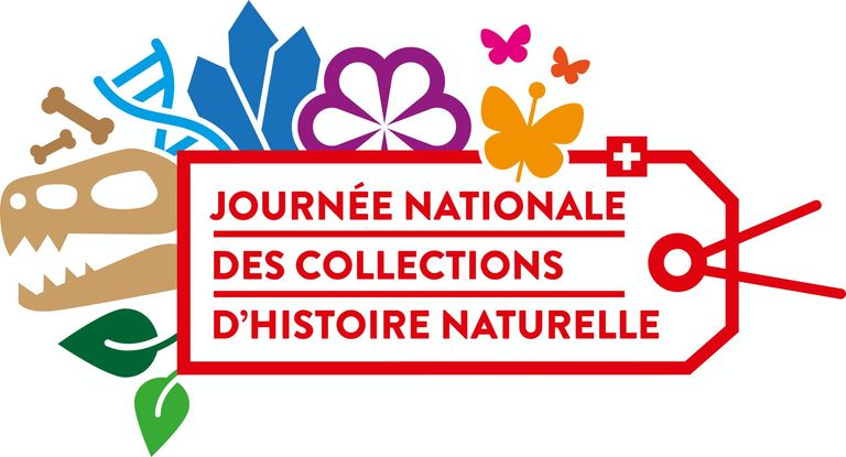 Journée nationale des collections d'histoire naturelle Journée nationale des collections d'histoire naturelle