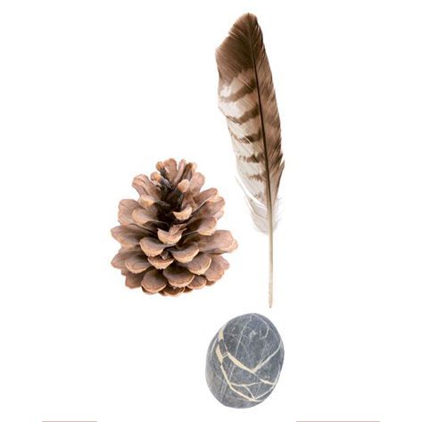 Naturfundstücke Naturfundstücke