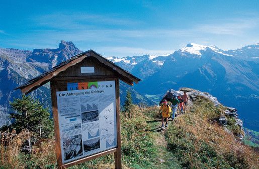 Brunnipfad Brunnipfad