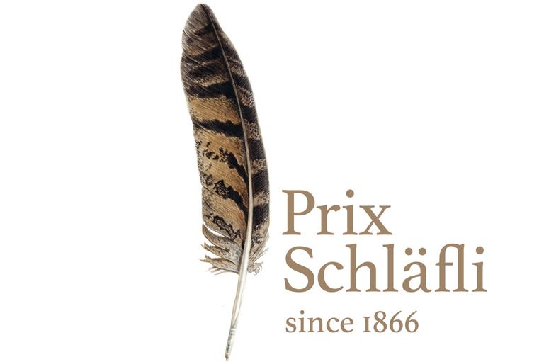 Prix Schläfli Prix Schläfli