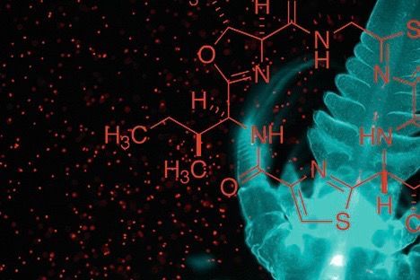 Plattform Chemie Plattform Chemie