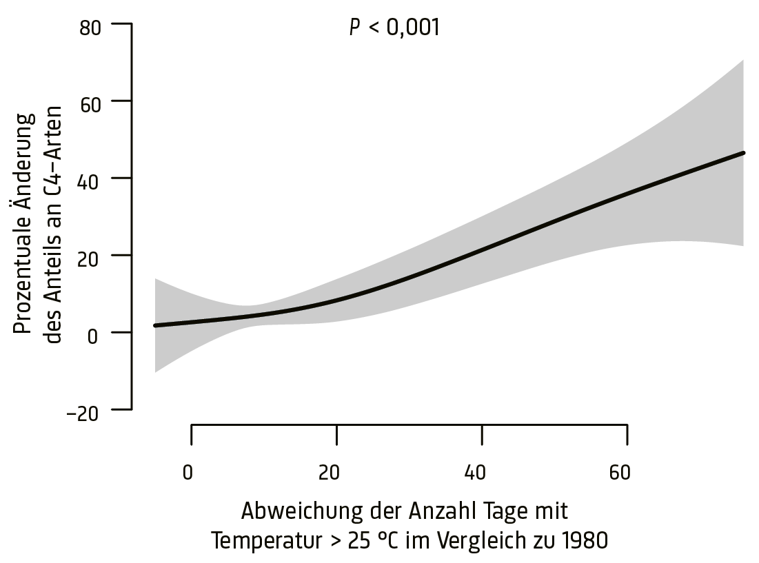 Abb. 2: Mehr Tage mit Temperaturen > 25° C gegenüber 1980 erhöhten den Anteil der C4-Pflanzen. Der graue Bereich um die Trendlinien zeigt das 95%-Konfidenzintervall. Abb. 2: Mehr Tage mit Temperaturen > 25° C gegenüber 1980 erhöhten den Anteil der C4-Pflanzen. Der graue Bereich um die Trendlinien zeigt das 95%-Konfidenzintervall.