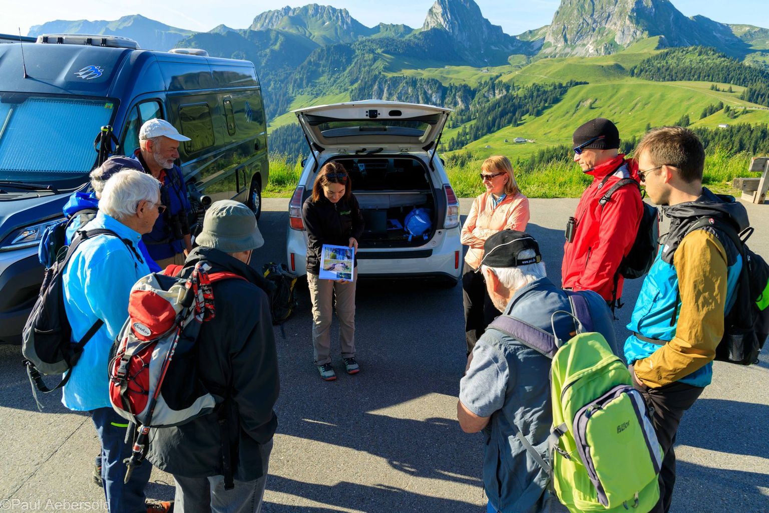 Spechte im Gurnigelwald, Bild 01 Spechte im Gurnigelwald, Bild 01