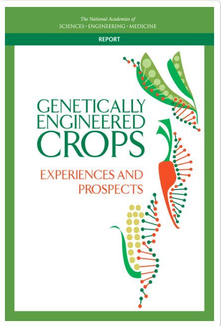 Genetically engineerd crops Genetically engineerd crops