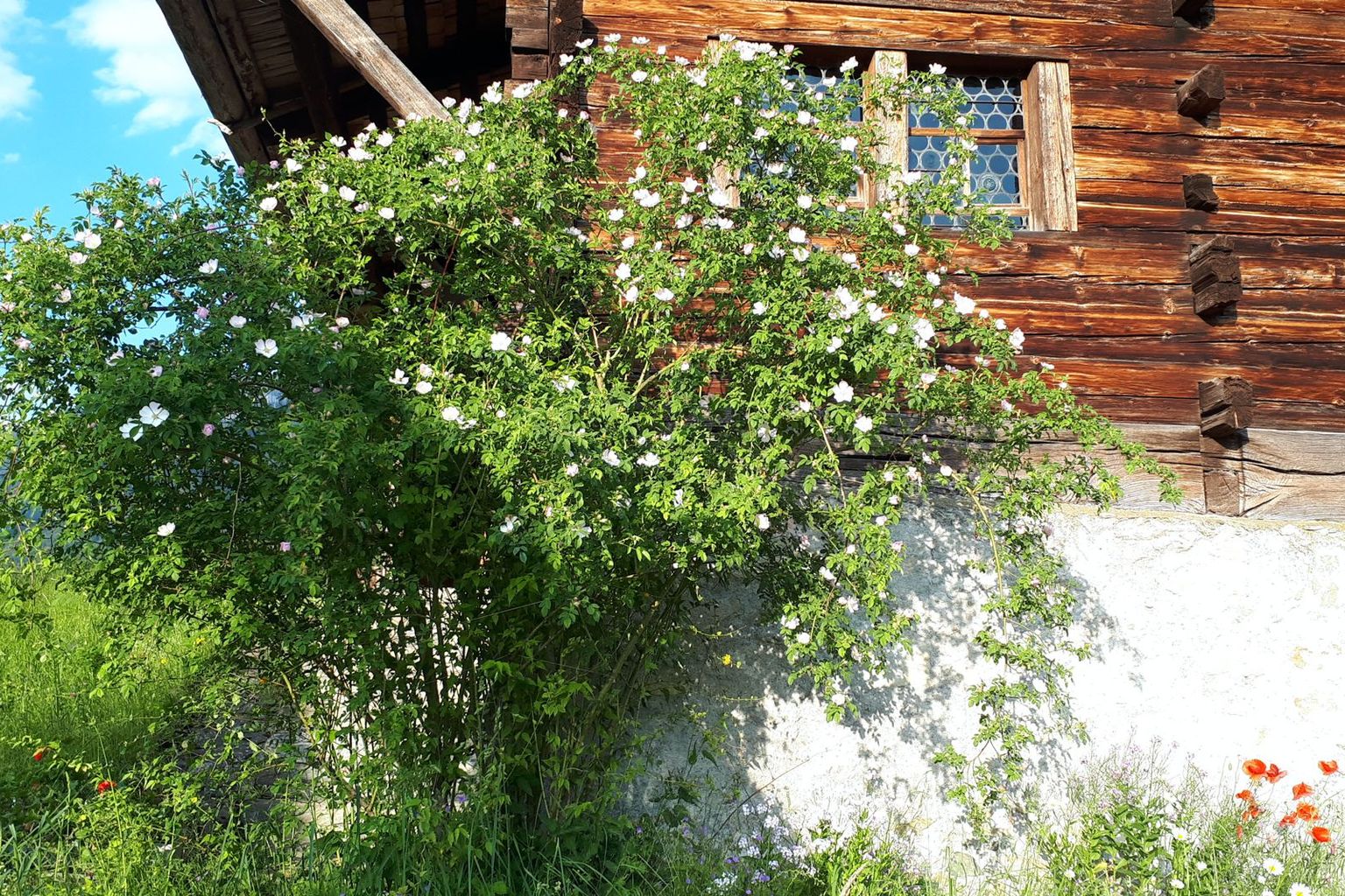 Doris Hellmüller. Wohnhaus Niklaus und Dorothee, Flüeli-Ranft Doris Hellmüller. Wohnhaus Niklaus und Dorothee, Flüeli-Ranft