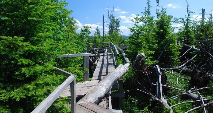 Nationalparkregion Nordschwarzwald Nationalparkregion Nordschwarzwald