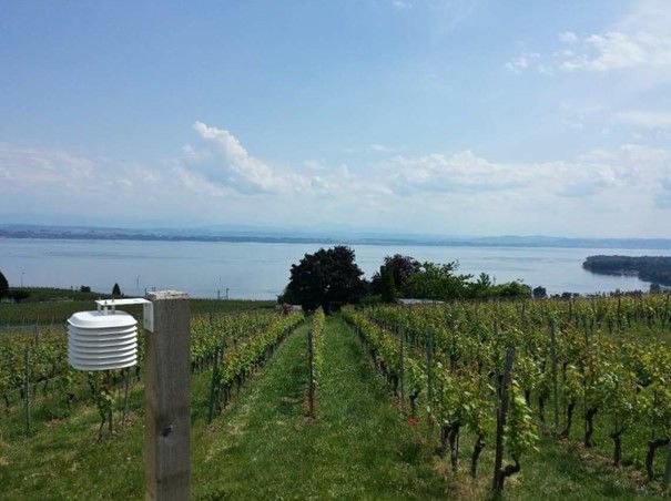 Auvernier_Wettersensor Auvernier_Wettersensor