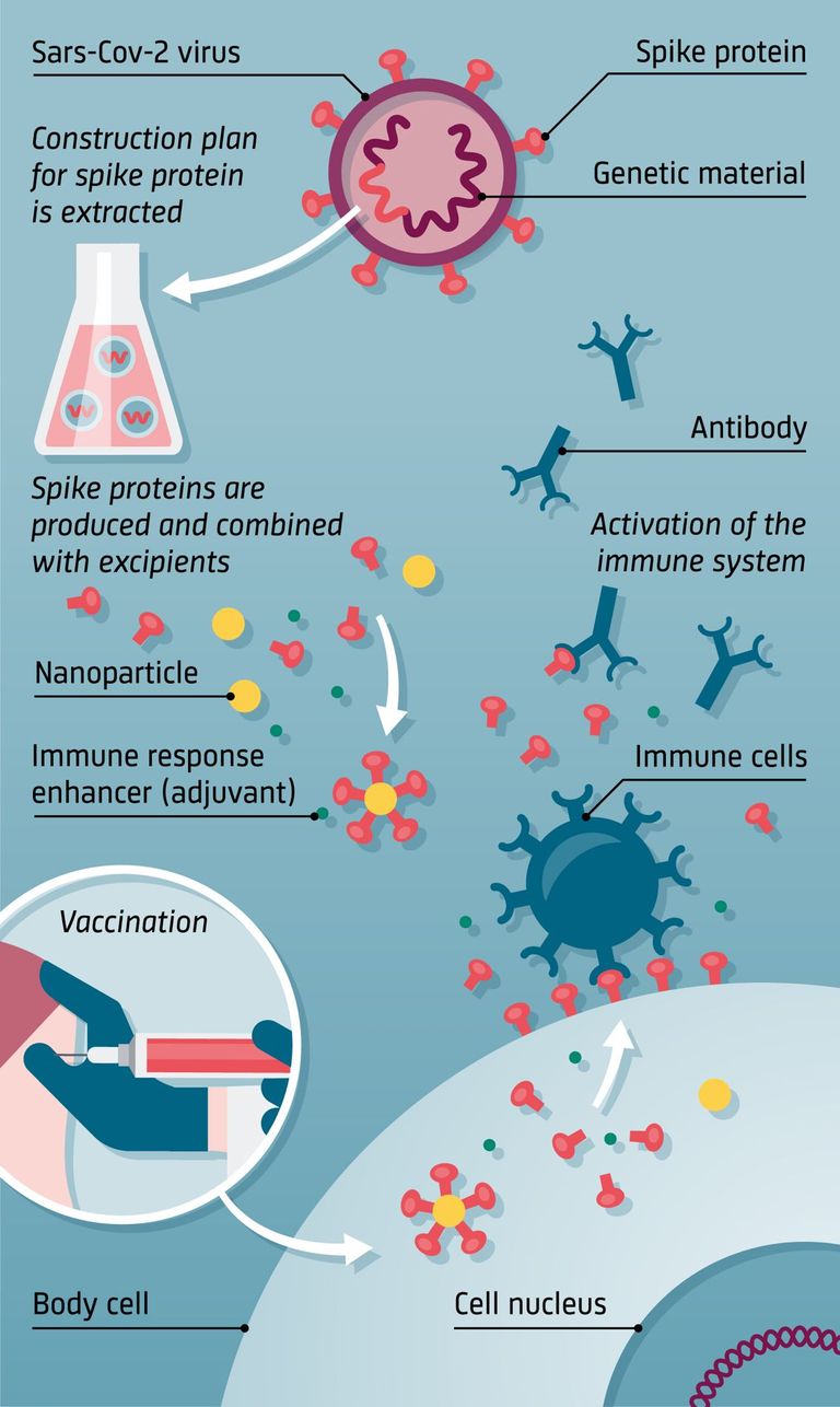 Protein vaccines Protein vaccines