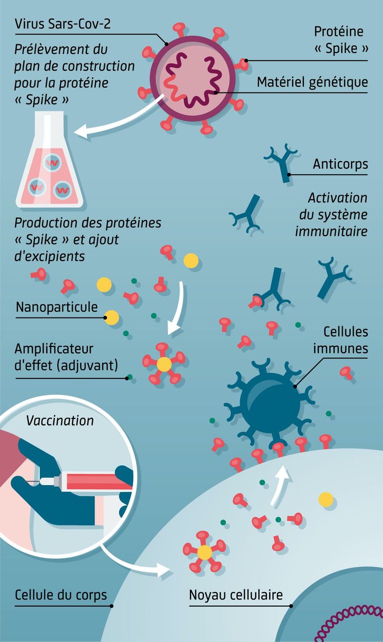 Vaccins à protéines Vaccins à protéines