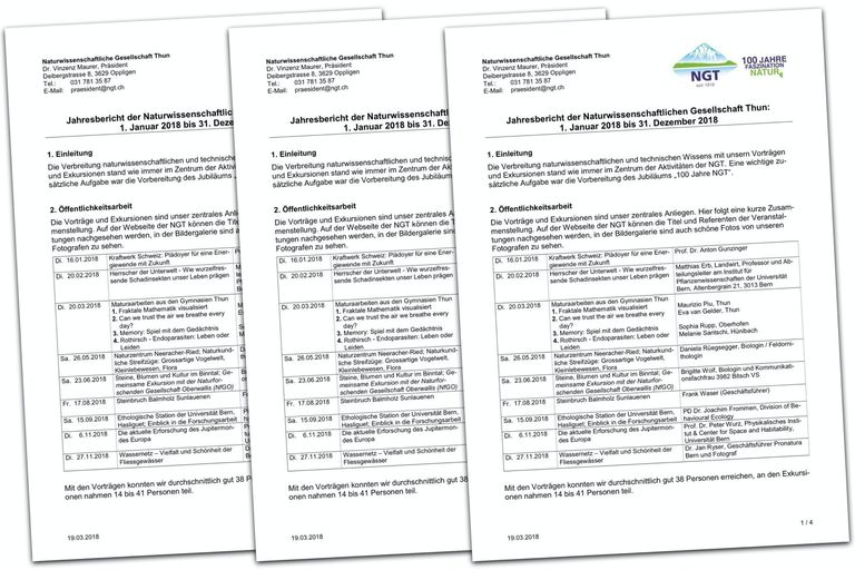 Jahresbericht des Präsidenten 2018 Jahresbericht des Präsidenten 2018