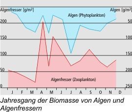 Jahresbang Biomasse (Greifensee) Jahresbang Biomasse (Greifensee)