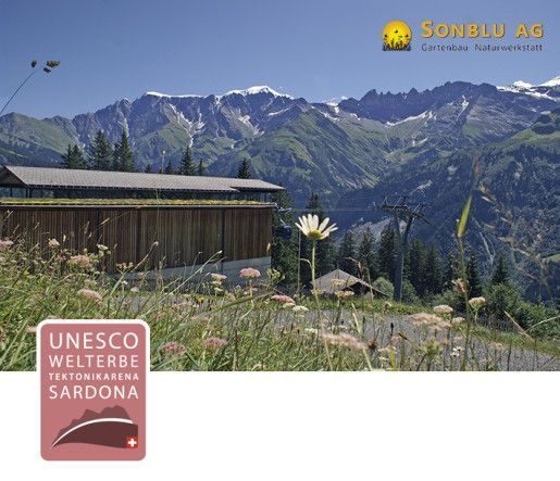 Top of Tektonikarena Sardona Top of Tektonikarena Sardona