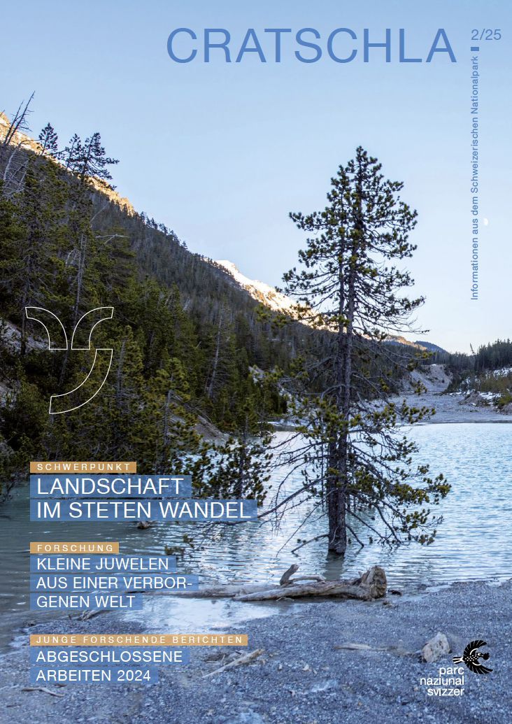 Titelbild Cratschla 2/25 Titelbild Cratschla 2/25