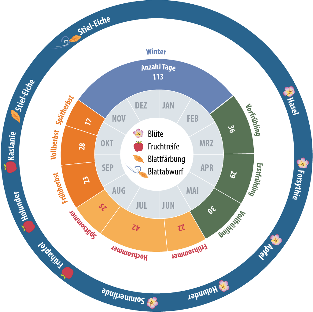 Exemple d'un calendrier phénologique Exemple d'un calendrier phénologique