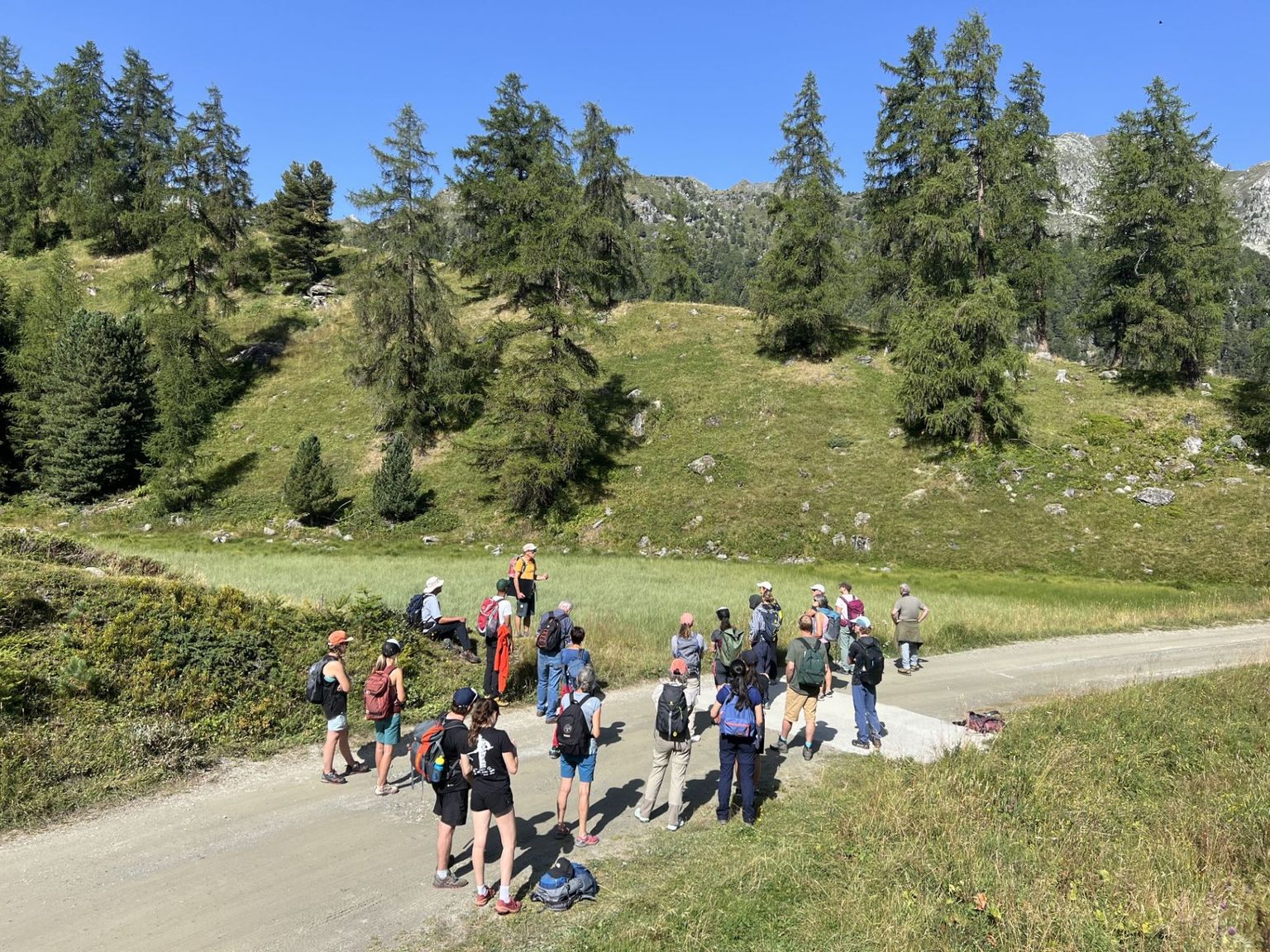 Excursion SSGm Tortin, 2025 Excursion SSGm Tortin, 2025