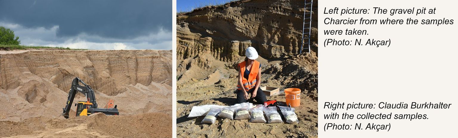 C. Burkhalter C. Burkhalter