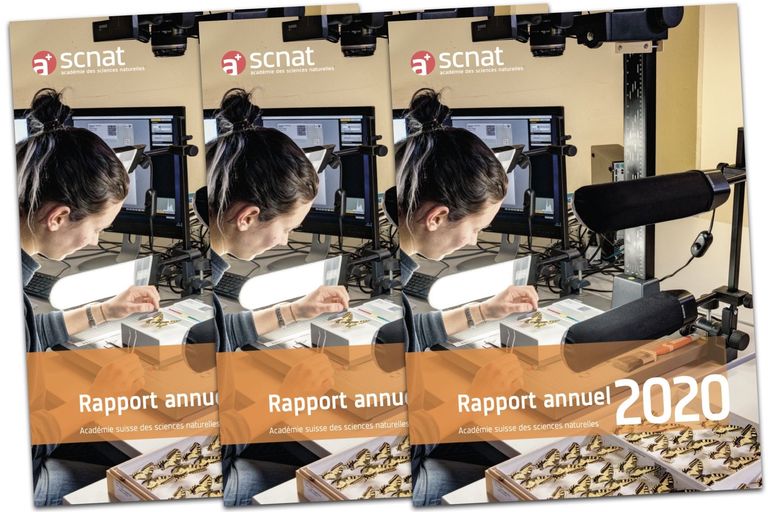 Report annuel SCNAT Report annuel SCNAT