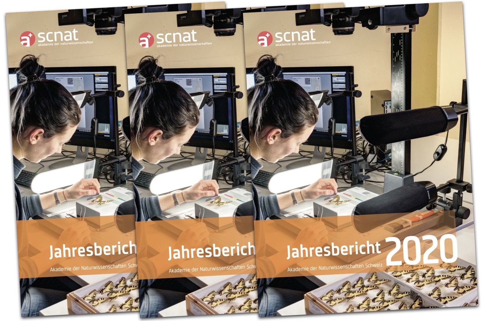 Jahresbericht SCNAT Jahresbericht SCNAT