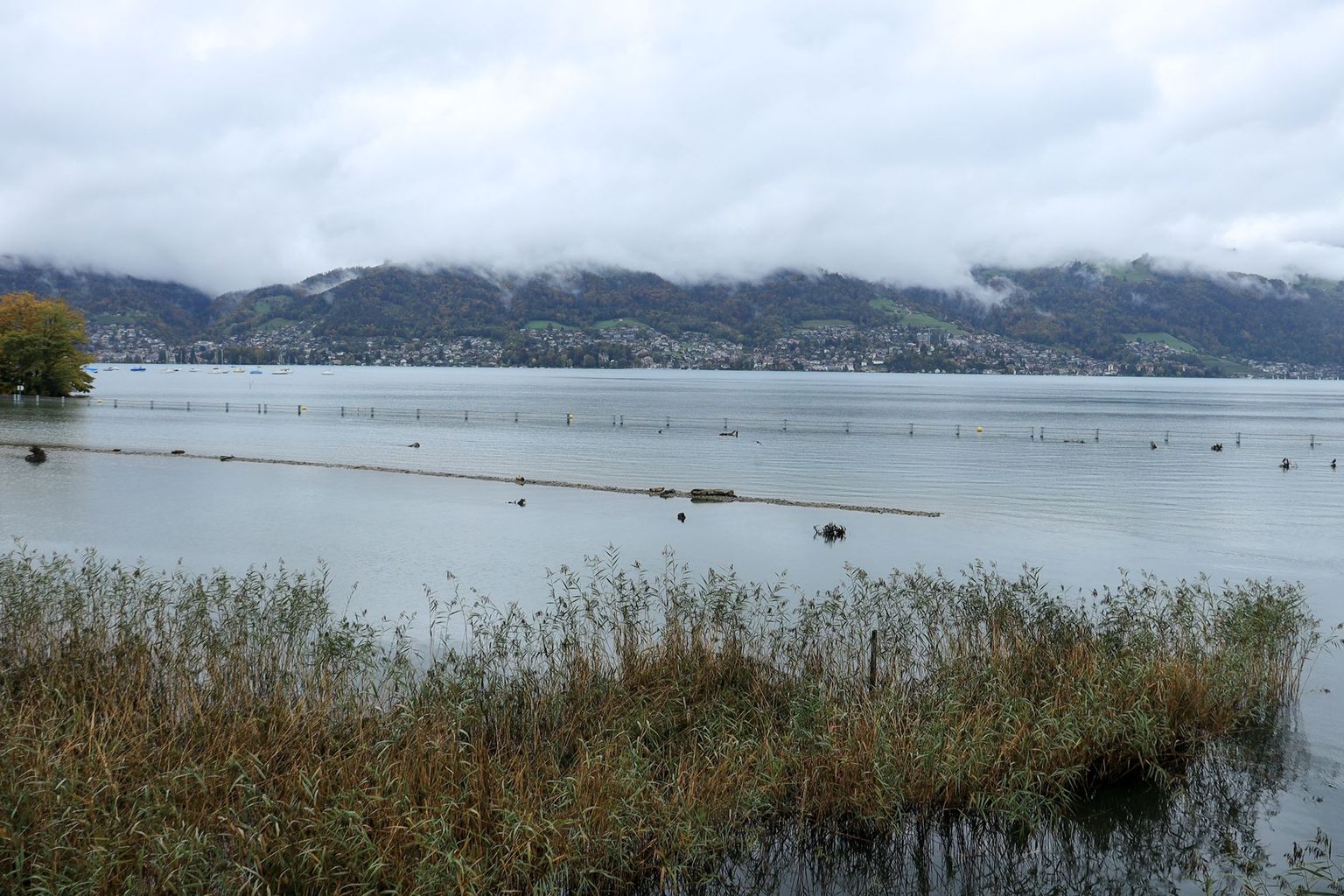 Am Ufer des Thunersees, Bild 08. Am Ufer des Thunersees, Bild 08.