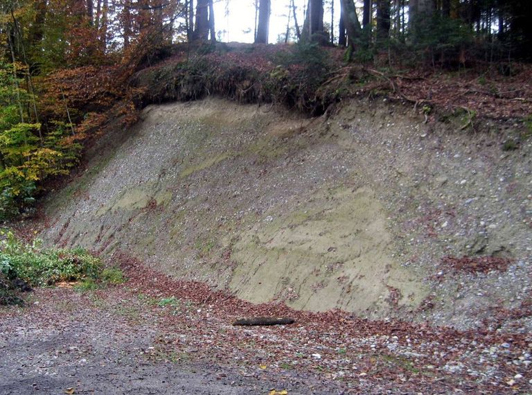Der Bischofsberg Der Bischofsberg