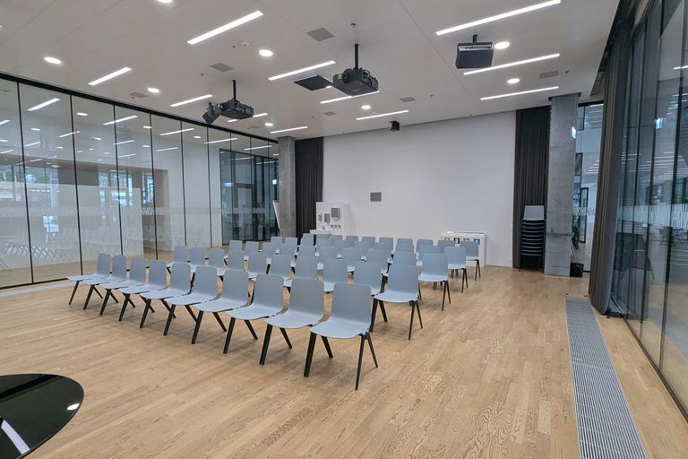 SSOM Fall meeting SITEM Bern SSOM Fall meeting SITEM Bern