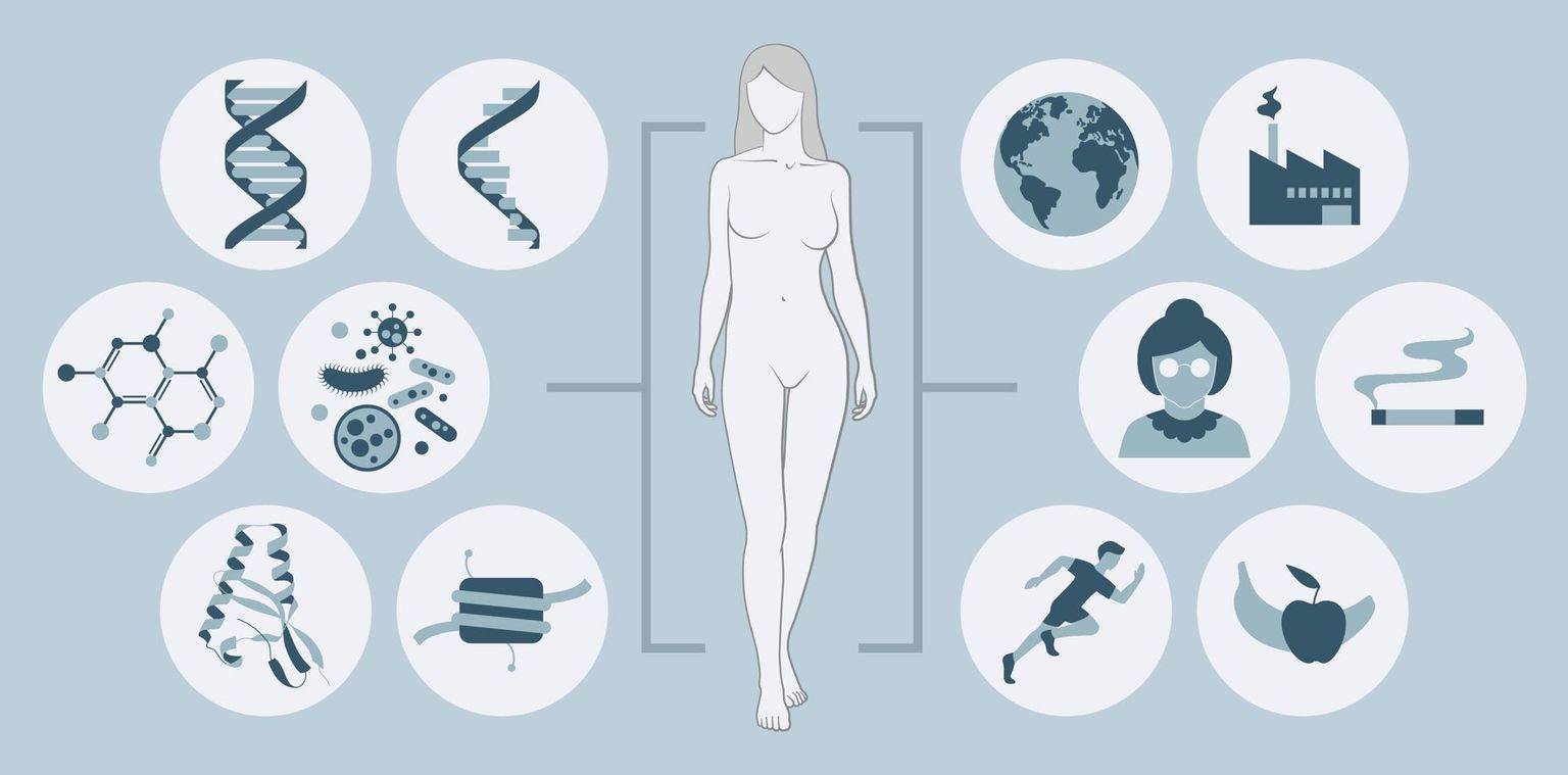 Santé personnalisée : Divers facteurs influencent notre apparence, notre forme physique et les maladies dont nous souffrons : les gènes, les produits métaboliques, les microorganismes l’âge, le mode de vie, l’environnement. Dans le domaine de la santé personnalisée, ces facteurs sont analysés et interprétés afin d'identifier les risques de maladie ou de mettre au point des thérapies efficaces. Santé personnalisée : Divers facteurs influencent notre apparence, notre forme physique et les maladies dont nous souffrons : les gènes, les produits métaboliques, les microorganismes l’âge, le mode de vie, l’environnement. Dans le domaine de la santé personnalisée, ces facteurs sont analysés et interprétés afin d'identifier les risques de maladie ou de mettre au point des thérapies efficaces.