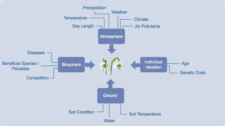 Einflussfaktoren der Pflanzenphänologie nach Defila, C. (1991). Pflanzenphänologie der Schweiz. Veröffentlichungen der Schweizerischen Meteorologischen Anstalt 1, 235. Einflussfaktoren der Pflanzenphänologie nach Defila, C. (1991). Pflanzenphänologie der Schweiz. Veröffentlichungen der Schweizerischen Meteorologischen Anstalt 1, 235.