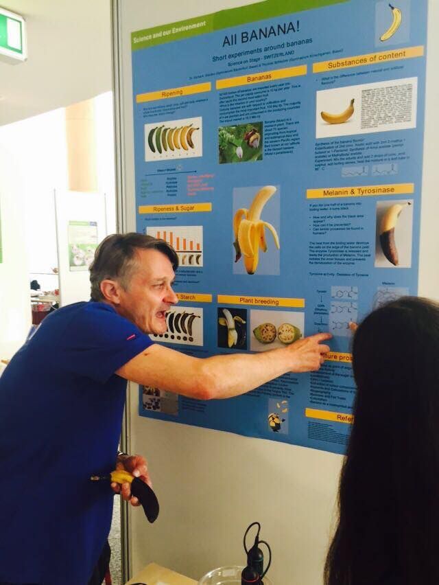 Sacha Glardon, Festival Debrecen Sacha Glardon, Festival Debrecen