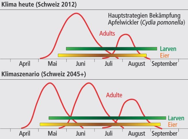 Apfelwicklerpopulation heute und in Zukunft und die wich- tigsten Strategien zur Bekämpfung27. Apfelwicklerpopulation heute und in Zukunft und die wich- tigsten Strategien zur Bekämpfung27.