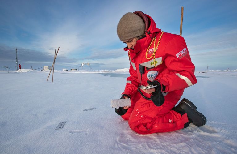 MOSAiCLeg5_LiannaNixon MOSAiCLeg5_LiannaNixon